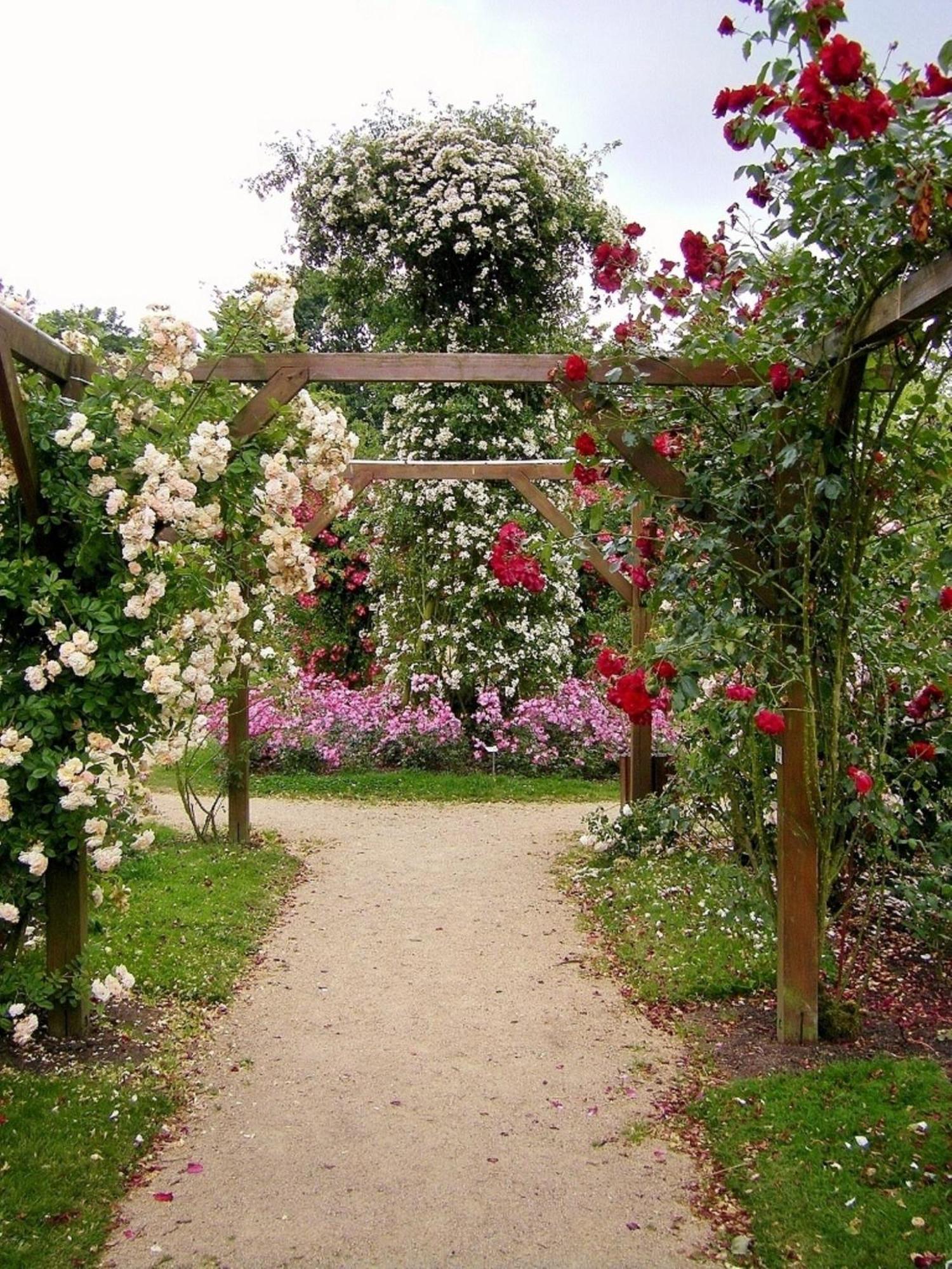 Sainte-Marie-du-Bois  La Cloue B&B 외부 사진