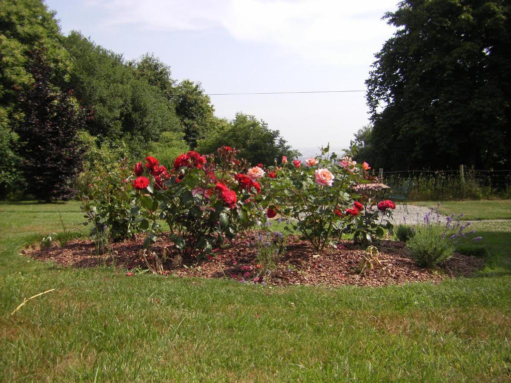 Sainte-Marie-du-Bois  La Cloue B&B 외부 사진